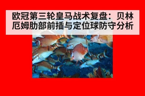 欧冠第三轮皇马战术复盘：贝林厄姆肋部前插与定位球防守分析